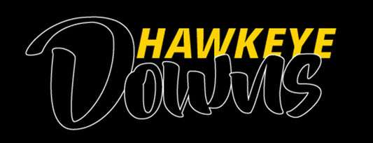 Hawkeye Downs Legend Car Set Up - Nsane Grip Legend Cars